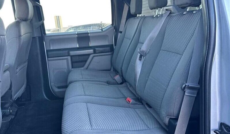 
								2019 Ford F-150 XLT full									