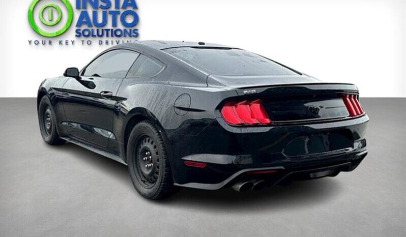 
								2019 Ford Mustang EcoBoost full									