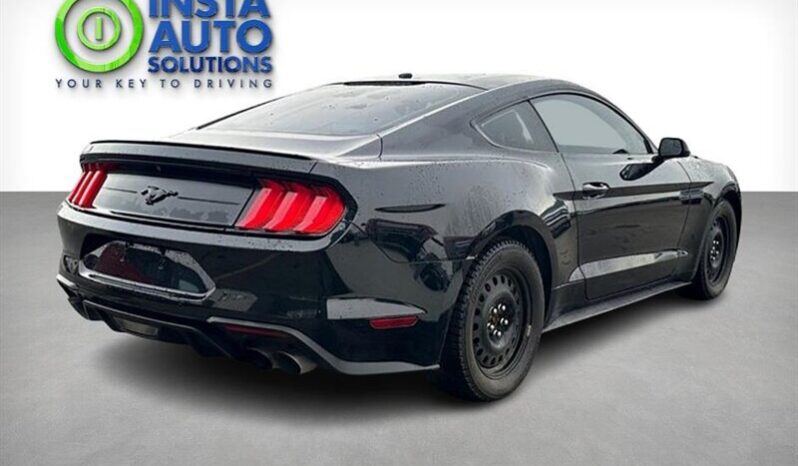 
								2019 Ford Mustang EcoBoost full									