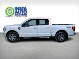 
										2023 Ford F-150 XLT XTR full									