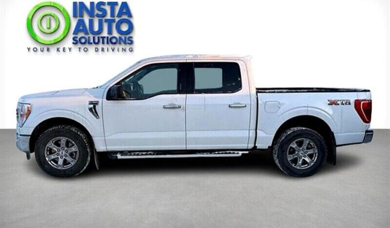 
								2023 Ford F-150 XLT XTR full									