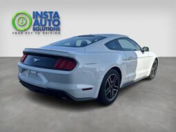 
										2019 Ford Mustang EcoBoost full									