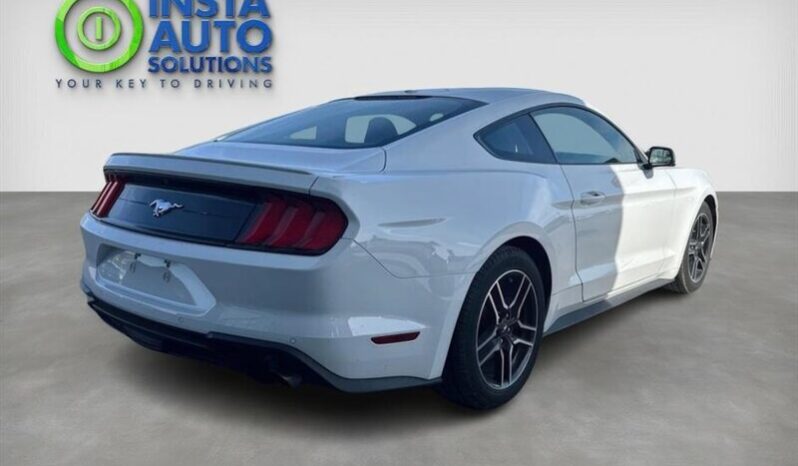 
								2019 Ford Mustang EcoBoost full									