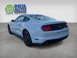 
										2019 Ford Mustang EcoBoost full									