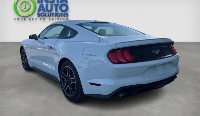 
								2019 Ford Mustang EcoBoost full									