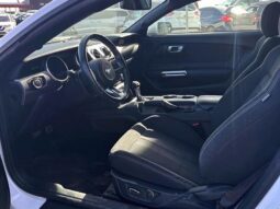 
										2019 Ford Mustang EcoBoost full									