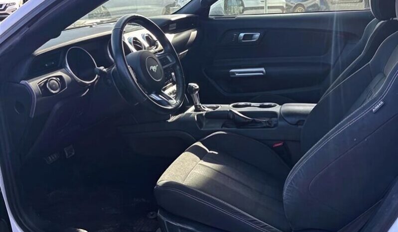 
								2019 Ford Mustang EcoBoost full									