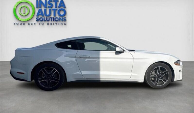 
								2019 Ford Mustang EcoBoost full									