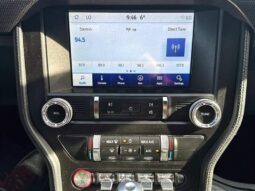 
										2019 Ford Mustang EcoBoost full									