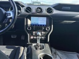
										2019 Ford Mustang EcoBoost full									