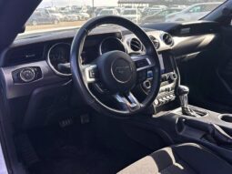 
										2019 Ford Mustang EcoBoost full									