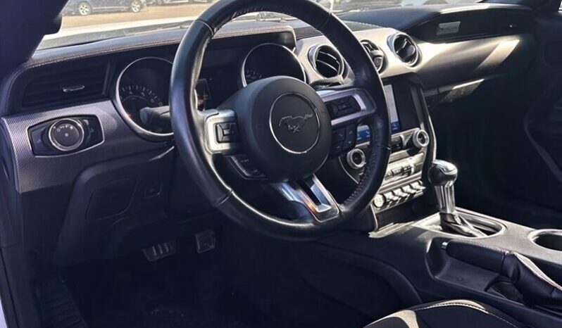 
								2019 Ford Mustang EcoBoost full									