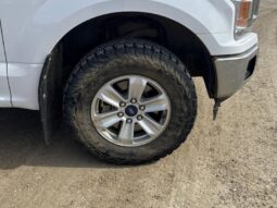 
										2019 Ford F-150 XLT 5.0L full									
