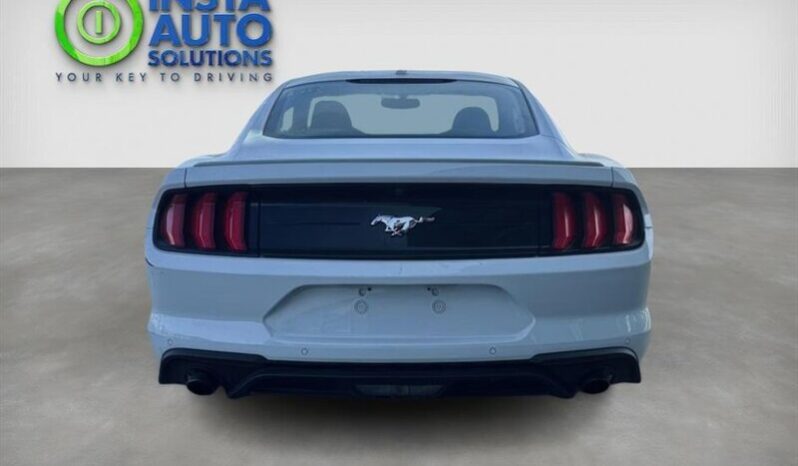 
								2019 Ford Mustang EcoBoost full									