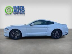 
										2019 Ford Mustang EcoBoost full									