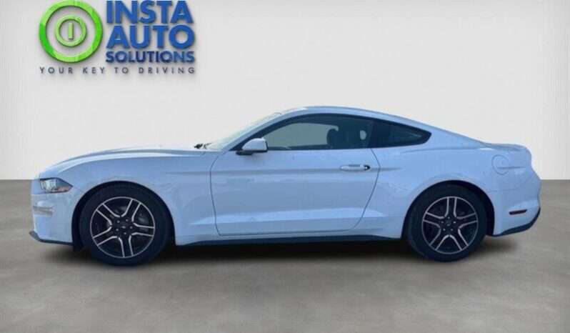 
								2019 Ford Mustang EcoBoost full									