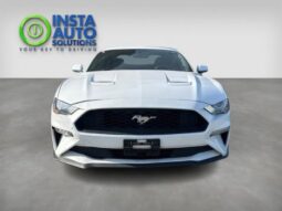 
										2019 Ford Mustang EcoBoost full									