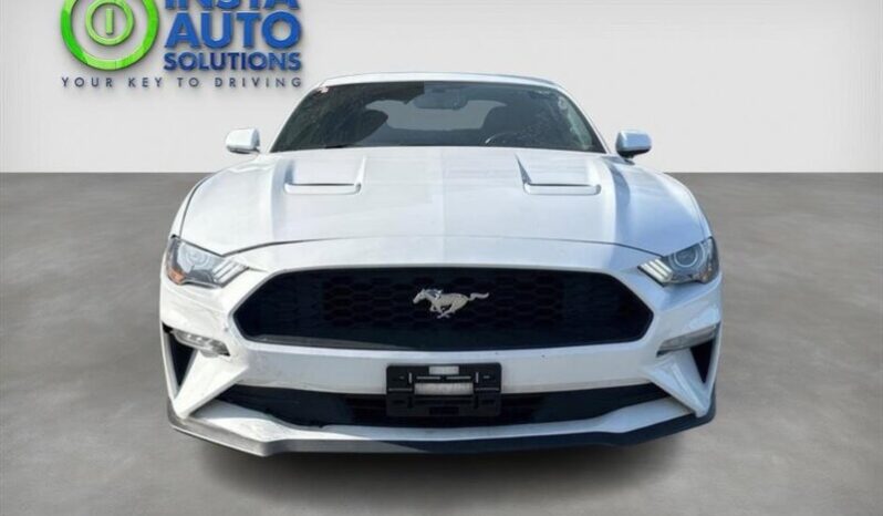 
								2019 Ford Mustang EcoBoost full									