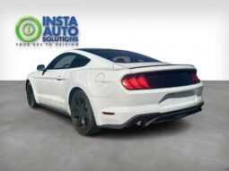 
										2019 Ford Mustang EcoBoost full									