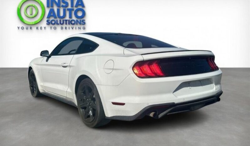 
								2019 Ford Mustang EcoBoost full									