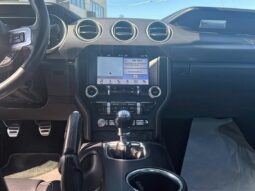 
										2019 Ford Mustang EcoBoost full									