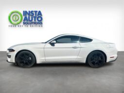 
										2019 Ford Mustang EcoBoost full									
