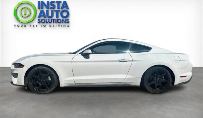 
								2019 Ford Mustang EcoBoost full									