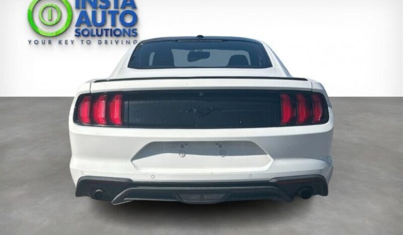 
								2019 Ford Mustang EcoBoost full									