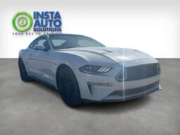
										2019 Ford Mustang EcoBoost full									