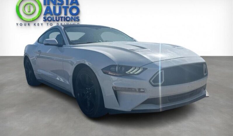 
								2019 Ford Mustang EcoBoost full									