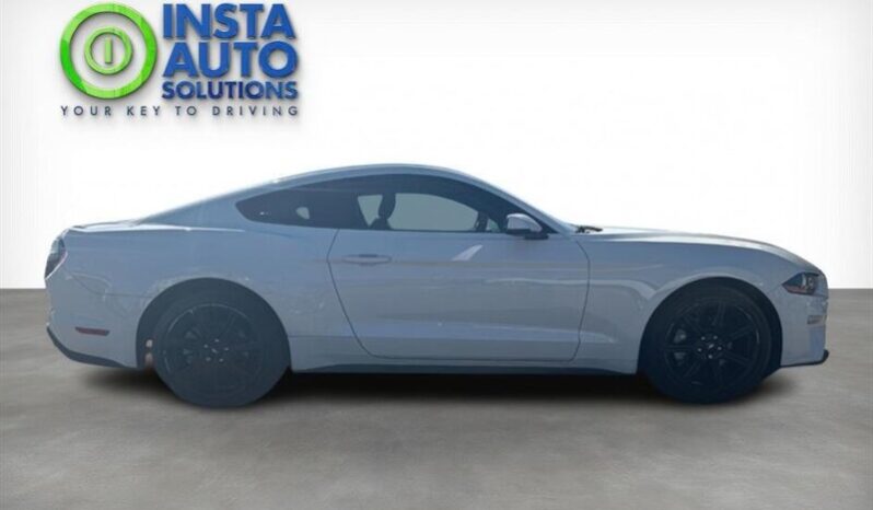 
								2019 Ford Mustang EcoBoost full									