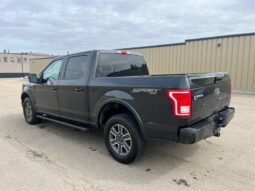 
										2015 Ford F-150 XLT Sport 5.0L full									