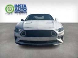 
										2019 Ford Mustang EcoBoost full									