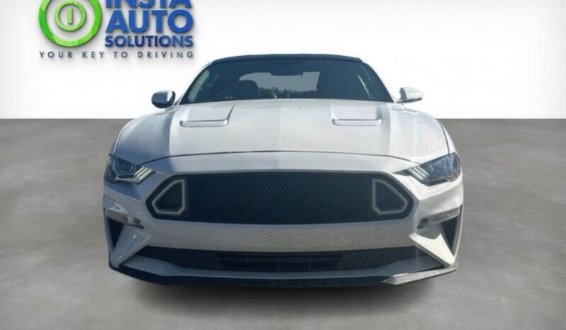 
								2019 Ford Mustang EcoBoost full									