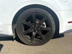 
										2019 Ford Mustang EcoBoost full									