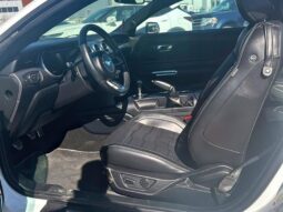 
										2019 Ford Mustang EcoBoost full									