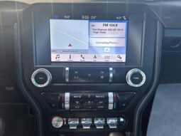 
										2019 Ford Mustang EcoBoost full									