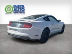 
										2019 Ford Mustang EcoBoost full									