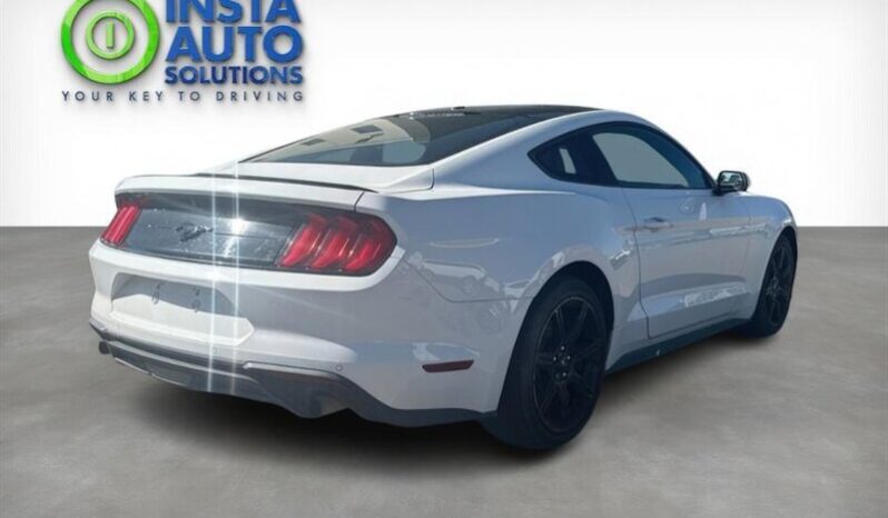 
								2019 Ford Mustang EcoBoost full									