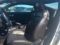 
										2019 Ford Mustang EcoBoost full									