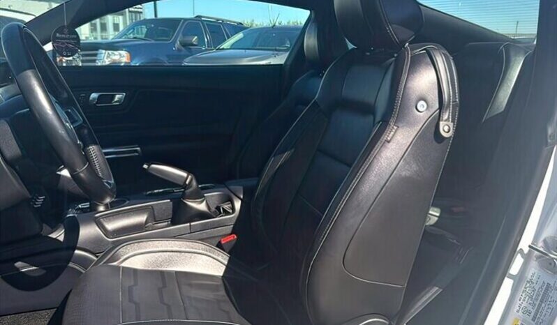 
								2019 Ford Mustang EcoBoost full									
