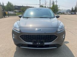 
										2021 Ford Escape SEL full									