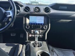 
										2019 Ford Mustang EcoBoost full									