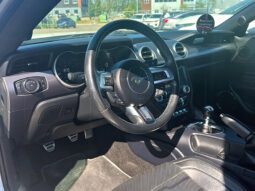 
										2019 Ford Mustang EcoBoost full									