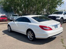 
										2014 Mercedes-Benz CLS CLS 550 4MATIC full									
