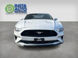 
										2019 Ford Mustang EcoBoost full									