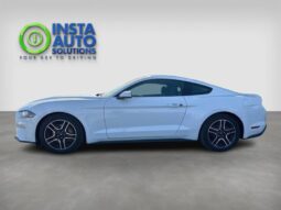 
										2019 Ford Mustang EcoBoost full									
