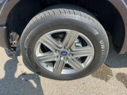 
										2019 Ford F-150 XLT Sport FX4 full									