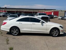 
										2014 Mercedes-Benz CLS CLS 550 4MATIC full									