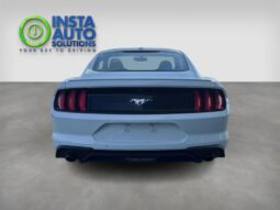 
										2019 Ford Mustang EcoBoost full									